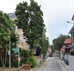 Tembeling Road (D15), Terrace #547739091